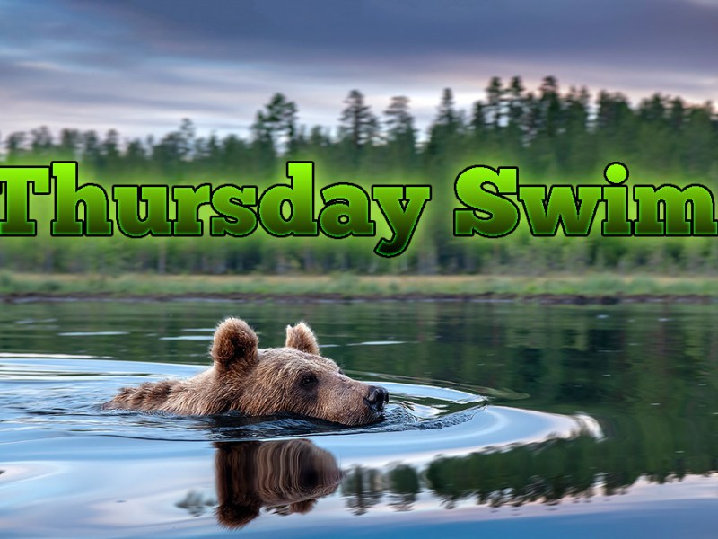 Thursday Swim